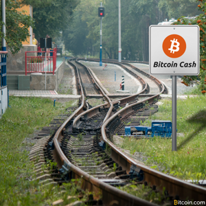 Ảnh của Điều mà bất cứ nhà đầu tư nào cũng nên biết về Bitcoin Cash