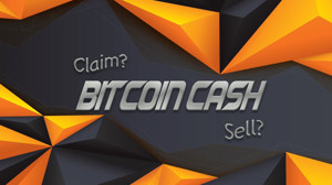 Ảnh của Những sàn giao dịch mà đã bắt đầu mua bán Bitcoin Cash