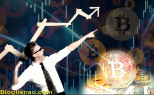 Ảnh của Giá Bitcoin Cash tăng hơn 50% trong một tuần