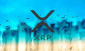 Ảnh của Weiss Ratings: XRP của Ripple có thể sẽ là tiêu điểm của năm 2018