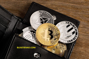 Ảnh của Các loại ví Bitcoin: Ưu – Nhược điểm