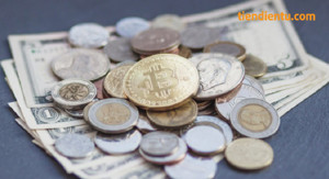 Ảnh của Hơn 900 nhà bán lẻ hiện đang chấp nhận Bitcoin Cash