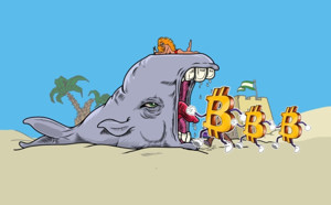 Ảnh của Cá voi rút 1.537 BTC từ Coinbase về ví riêng để hold, đã đến thời kỳ “ngủ đông” của cá voi Bitcoin