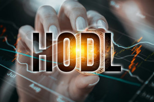 Ảnh của “Hold Bitcoin” có phải là chiến lược tốt nhất?