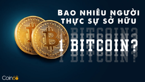 Ảnh của Coin68 Blog: Bao nhiêu người thực sự sở hữu ít nhất 1 Bitcoin?
