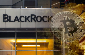 Ảnh của Công ty quản lý tài sản lớn nhất thế giới Blackrock gia nhập không gian Bitcoin, điều gì thúc đẩy giá BTC?