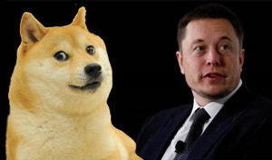 Ảnh của Vô tình hay cố ý, Elon Musk đã đưa giá Shiba Inu (SHIB) tăng 330% trong vài giờ, liệu đây có phải là Dogecoin mới?