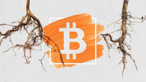 Ảnh của Taproot, bản nâng cấp lớn nhất của Bitcoin có thể đến vào tháng 11 năm nay