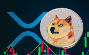 Ảnh của Dogecoin tiếp tục bứt phá 45%, vượt mặt XRP chiếm vị trí thứ 4 với mức vốn hóa 75 tỷ đô