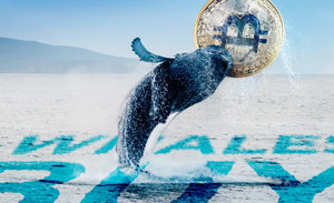 Ảnh của Giá Bitcoin có khả năng lên đến $83k sau khi dữ liệu cho thấy cá voi đã mua dip dưới $43k