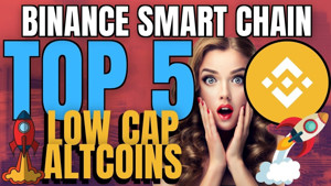 Ảnh của Altcoin Buzz chia sẻ 5 đồng tiền vốn hóa thấp hàng đầu trên Binance Smart Chain (BSC)