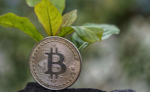 Ảnh của Miner Bitcoin đạt mức 90% trung hòa carbon