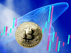 Ảnh của Sân chơi cá voi: Khối lượng Bitcoin hàng ngày trên thị trường giao ngay tăng vọt trong thời gian bán tháo