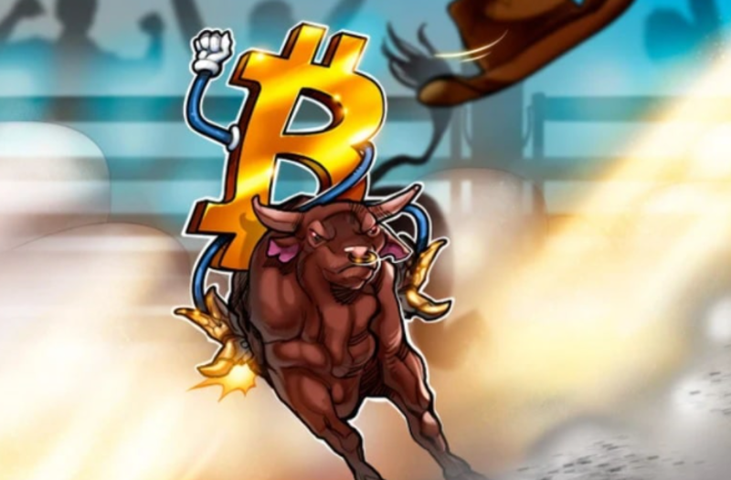 Bull Run Bitcoin Vẫn Còn Nguyên Vẹn Bất Chấp Sự Sụt Giảm Gần 50 So Với Ath