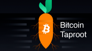 Ảnh của Tất tần tật về bản nâng cấp Taproot của Bitcoin