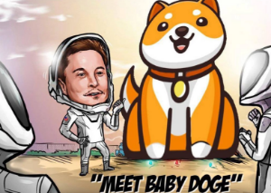 Ảnh của Baby Doge tiếp tục làm mưa làm gió trên thị trường với mức tăng 248% hàng tuần
