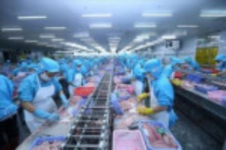 Kim ngạch xuất khẩu thủy sản 6 tháng đạt 4,1 tỷ USD