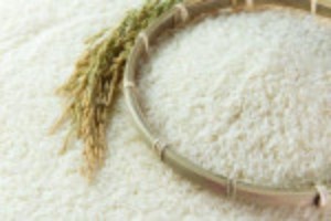 Ảnh của Xuất khẩu gạo sụt giảm mạnh