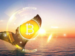 Ảnh của Áp lực bán Bitcoin tăng mạnh khi Coinbase nhận được 13.003 BTC từ một cá voi ẩn danh trong 3 giờ qua