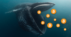 Ảnh của Dữ liệu on-chain cho thấy cá voi đang tích lũy trong khi giá bitcoin giảm xuống dưới $30K