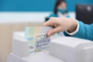 Nguồn cung VND được cải thiện trong tuần đầu tiên của tháng 8