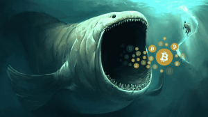 Ảnh của Cá voi hiện chỉ nắm giữ 25% nguồn cung Bitcoin