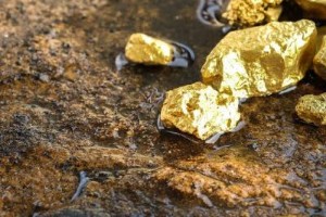 Ảnh của Vàng thế giới tăng hơn 1% lên cao nhất trong 2 tháng rưỡi