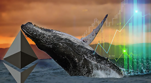 Ảnh của Dữ liệu on-chain này cho thấy Ethereum sẽ tiếp tục tăng cao hơn nữa khi cá voi ETH đã quay trở lại