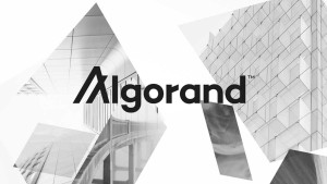 Ảnh của Vì sao Algorand (ALGO) tăng 268%?