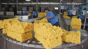 Picture of Hoa Kỳ tiếp tục tăng nhập khẩu cao su từ thị trường Việt Nam