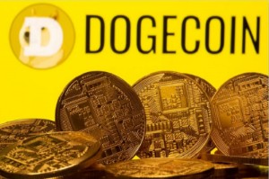 Picture of Shiba Inu and Dogecoin in focus as Elon Musk tweets about the industry