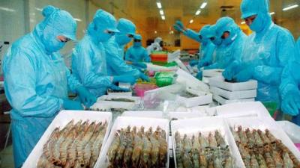 Ảnh của Xuất khẩu tôm sẽ "cán đích" với 3,9 tỷ USD