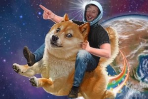 Ảnh của Dogecoin tăng 25% sau khi Elon Musk xác nhận Tesla sẽ chấp nhận DOGE