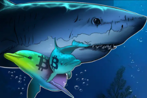 Ảnh của Cá con đang thèm khát Bitcoin nhưng cá voi hờ hững – Giá BTC sẽ ra sao?