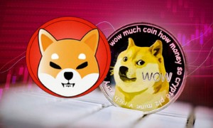Ảnh của Shiba Inu và Dogecoin sẽ không có cái kết đẹp vào năm 2022, theo Christopher Vecchio