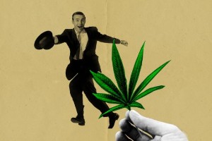 Picture of $200M Cannabis and Marijuana Lending Fund Established by the StandardC Network
