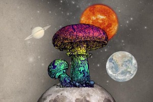Picture of Mushroom Supplement Label VidaCap Set to Release Rare, Collectible NFT’s on Ethereum Blockchain