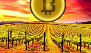 Ảnh của Đây là trường hợp tồi tệ nhất cho Bitcoin, theo KOL Dave the Wave