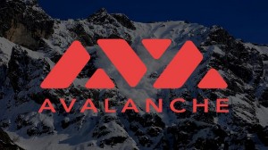 Ảnh của Avalanche thắng đậm khi kết thúc năm 2021 nhưng…