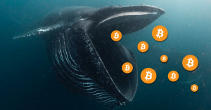Ảnh của Cá voi Bitcoin sẽ có động thái bất chợt khi các trader ngủ say, theo KOL Nicholas Merten
