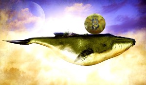 Picture of Cá voi bất ngờ đóng lệnh short 120M Bitcoin – Tổng khối lượng 24h vượt mốc $100 tỷ