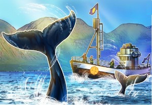 Ảnh của Cá voi mua dip số lượng lớn khi Bitcoin đòi lại $40.000