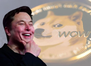 Ảnh của DOGE giảm trở lại sau cú pump 40% nhờ Elon Musk, điều gì tiếp theo?