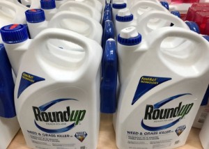 Picture of U.S. Supreme Court will soon decide whether to hear Bayer's weedkiller case