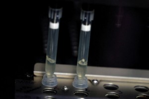 Picture of U.S. seeks to expand monkeypox testing as cases rise