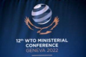Picture of WTO members hopeful on major fish deal despite push for exemptions