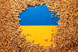Picture of Biden touts grain silos on Ukraine border to help exports; Kyiv wants ports open