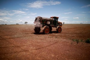 Picture of Brazil's fertilizer imports jump as farmers prepare to plant new crop