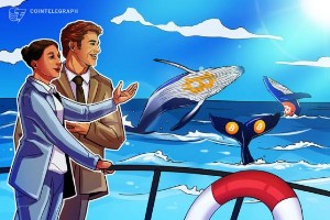Picture of What is Bitcoin whale watching and how to track Bitcoin whales?