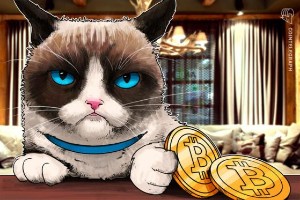 Picture of Bitty Kitty: Cat spoils Bitcoin node during price crash with ‘dirty protest’